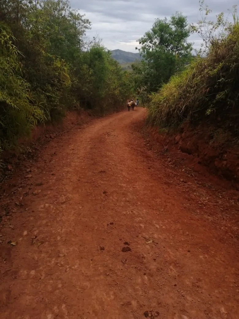 FINCA EN VENTA EN LAS PALMAS DE VERAGUAS, SECTOR LA PIFA.