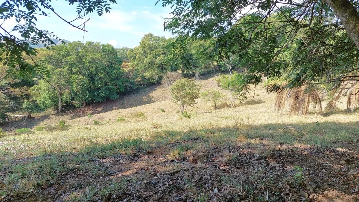 Perfect little farm with views and good access
