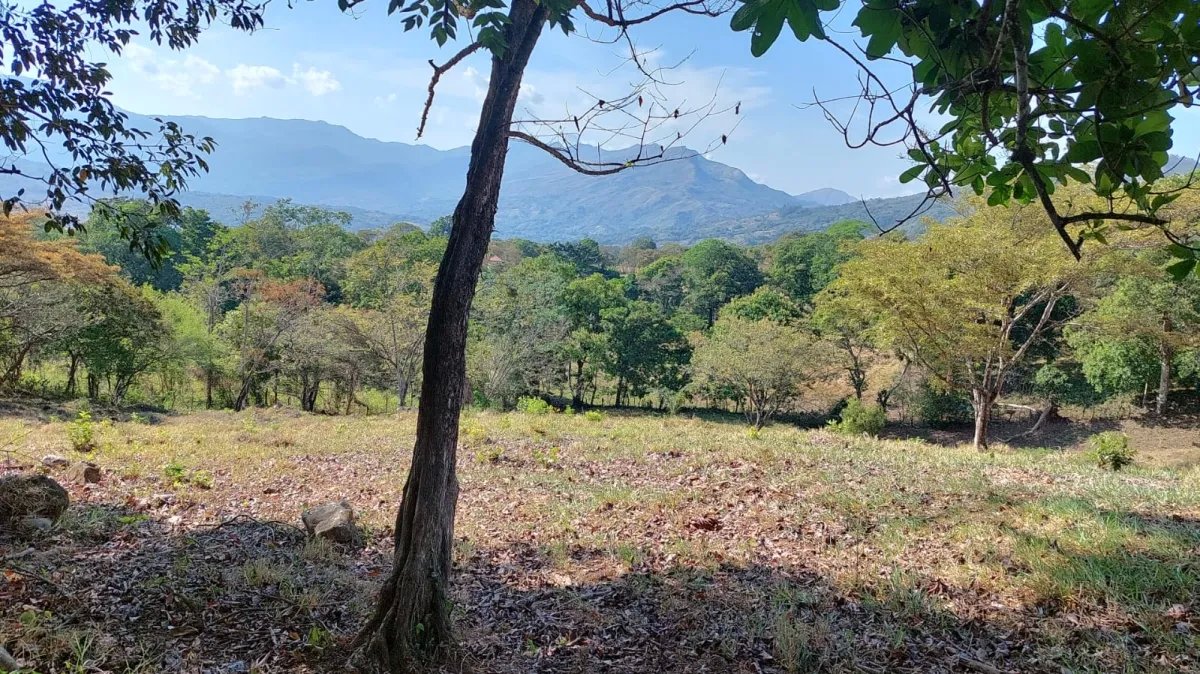 Perfect little farm with views and good access