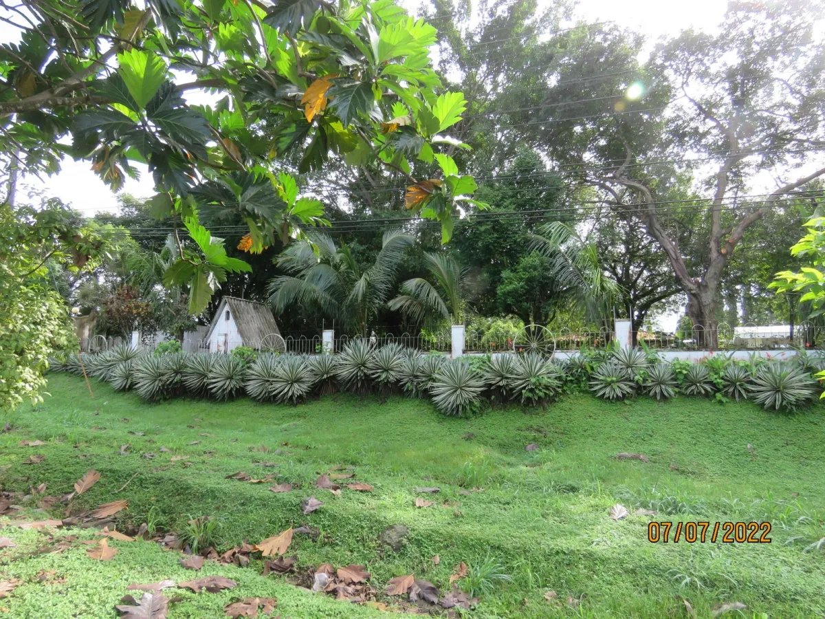 Commercial lot on Interamerican Highway in David