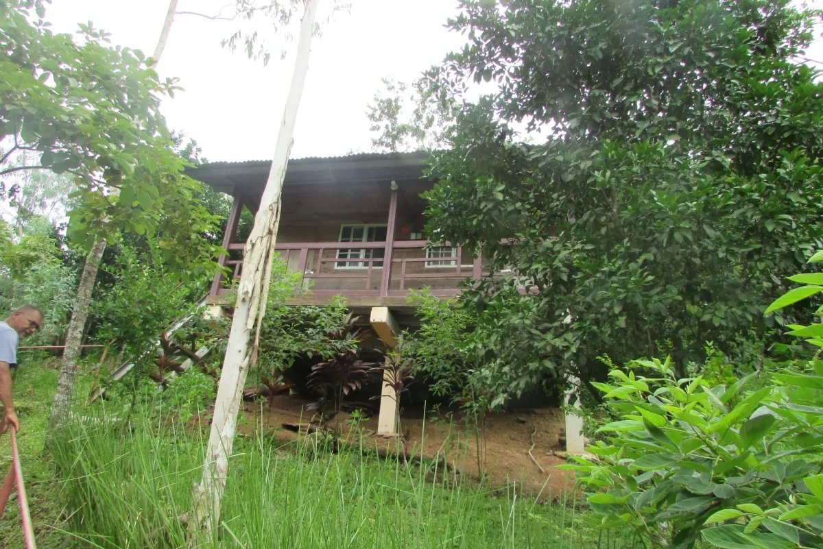 LA CASCADA EL ZUMBON