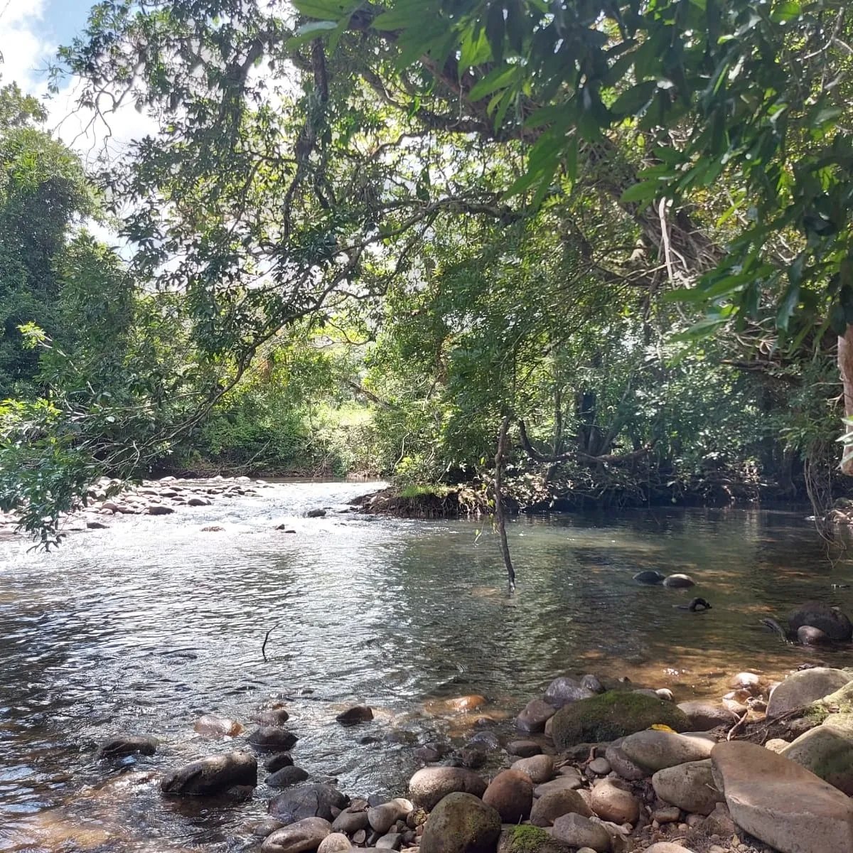 Dreamy, large river lots with club house and swimming pool near Boquete and David - financing available!