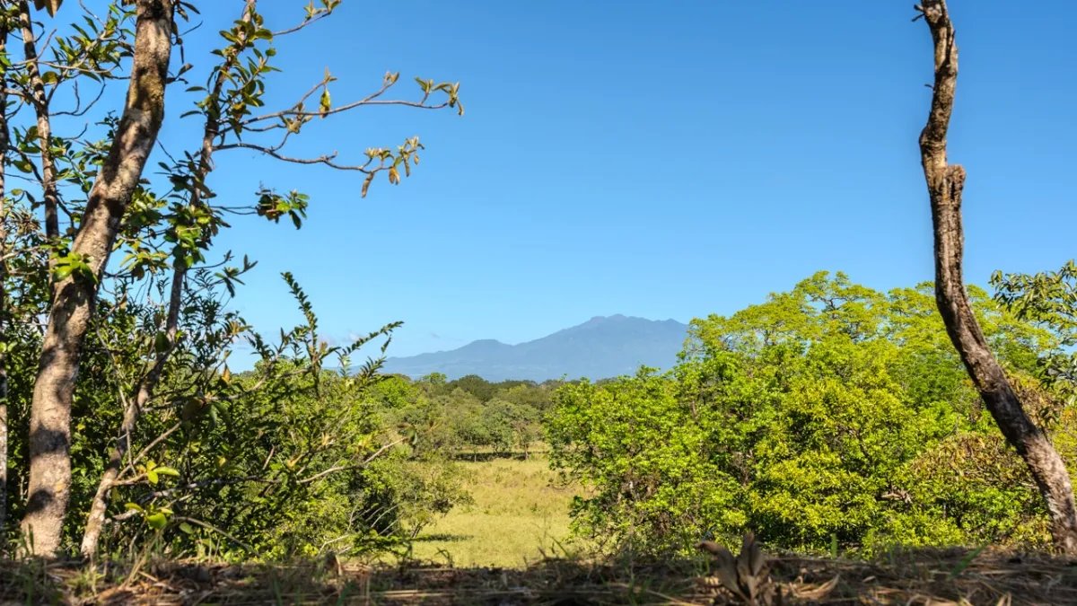 Dreamy, large river lots with club house and swimming pool near Boquete and David - financing available!