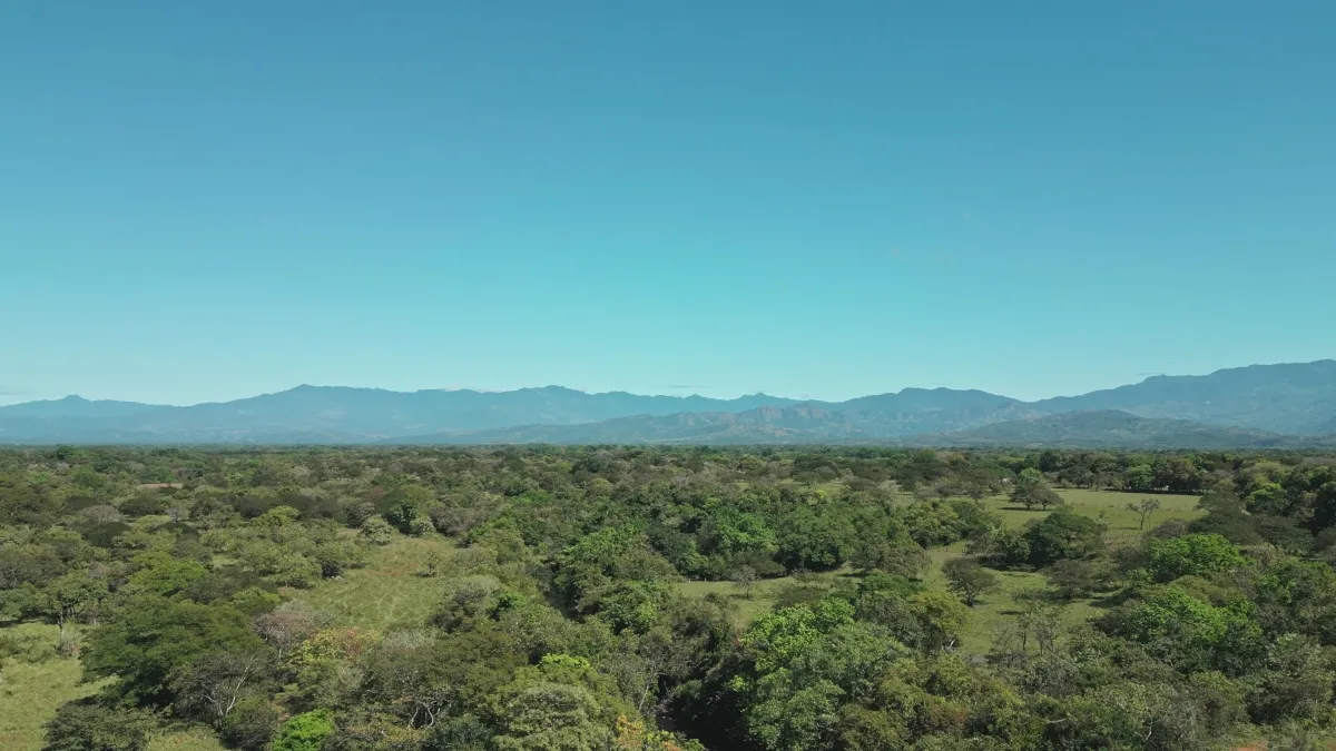 Terreno/Granja en Venta en Boquete