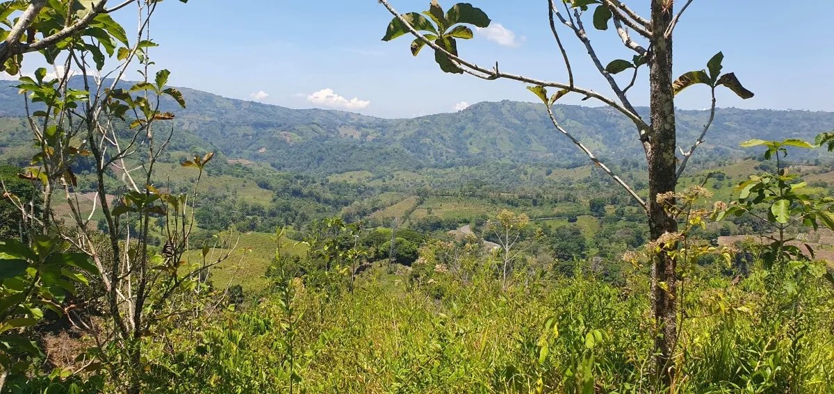 Disfrute de lo mejor de un paisaje tropical, ¡una propiedad con su pro...