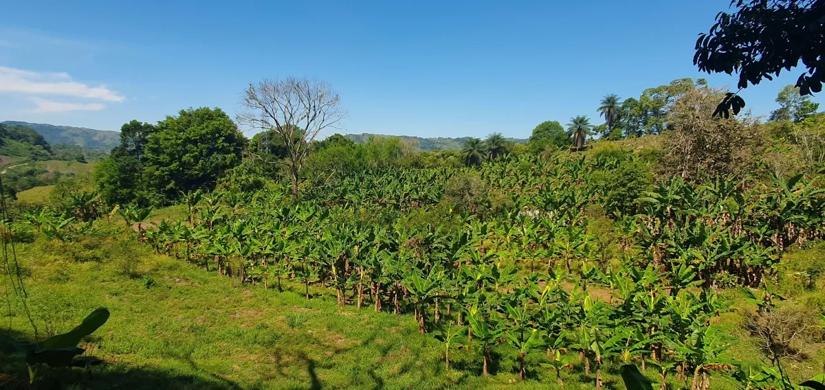 Disfrute de lo mejor de un paisaje tropical, ¡una propiedad con su propia fuente de agua dulce!