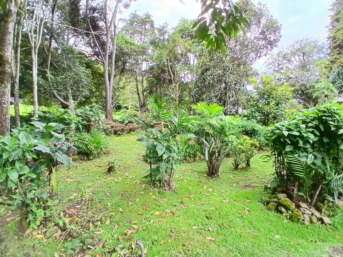 Beautiful park property in a refreshing high-altitude location