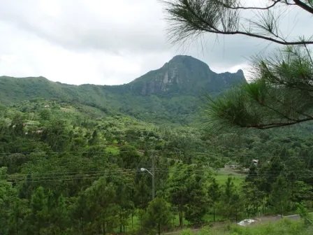 Lote hermoso en el area de valencia, altos del maria. precio reducido y negociable!