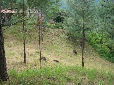 Lote hermoso en el area de valencia, altos del maria. precio reducido y negociable!