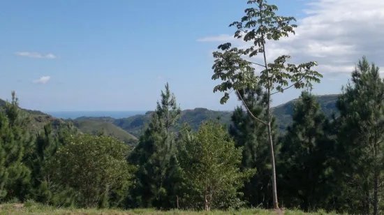 Lote con excelentes vistas