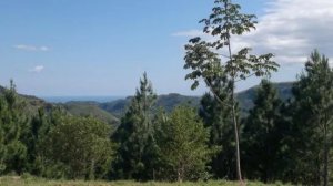 138862 - Altos del maria - lots
