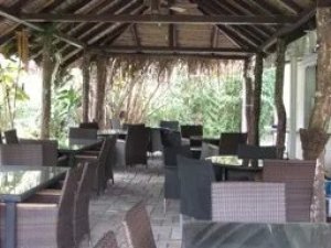 138863 - Volcan - properties