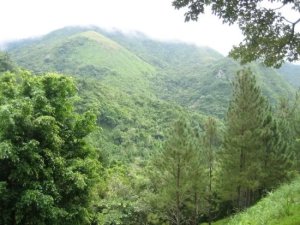 138864 - Altos del maria - lots