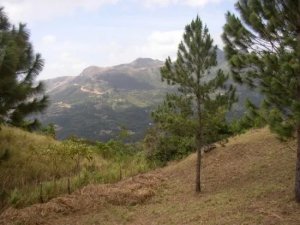 138866 - Altos del maria - lots