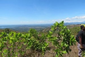 138867 - Chiriquí - lots - villa nueva