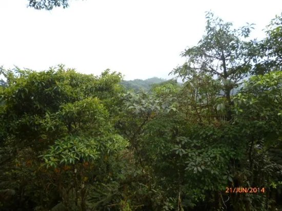 Lote en altos del mar