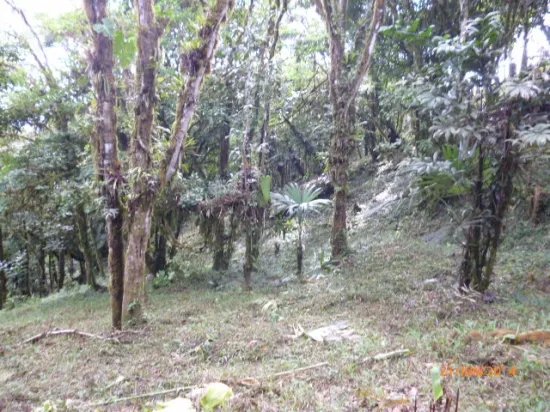 Lote en altos del mar
