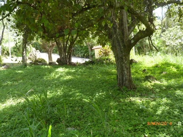 Lote plano en la atractiva zona de toscana en altos del mar