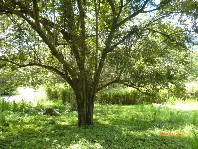 Lote plano en la atractiva zona de toscana en altos del mar