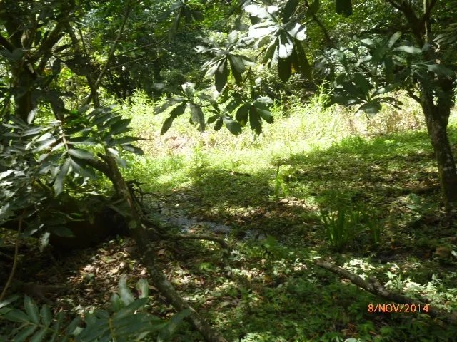 Lote plano en la atractiva zona de toscana en altos del mar
