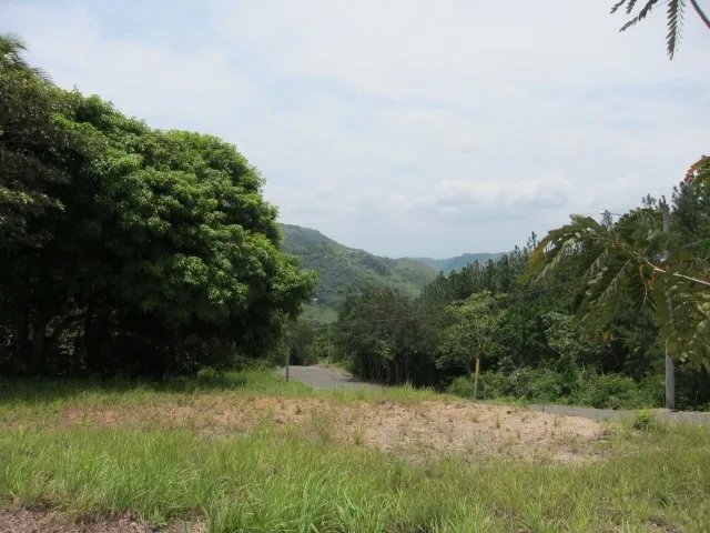 Hermoso lote frente dos parques