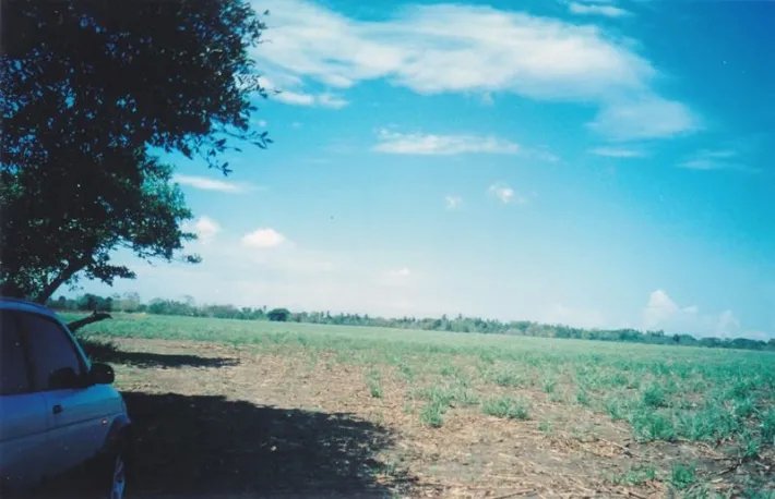 Lote comercial en venta en david