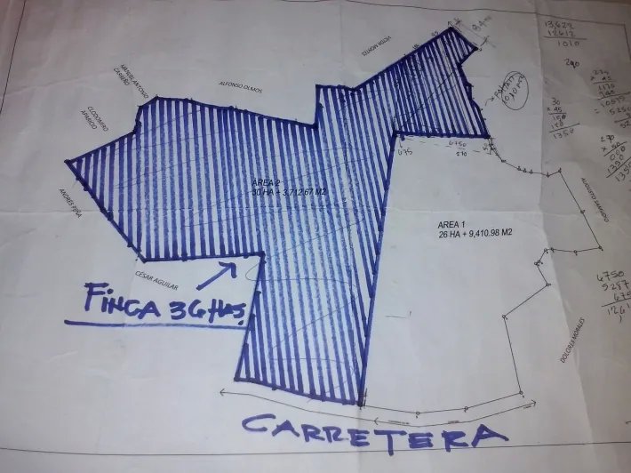 Lote comercial en venta en david