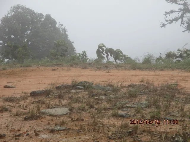 Lote con vista estupenda y espacio plano de construcci