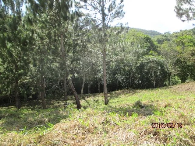 Dos lotes privados con perfecta vista