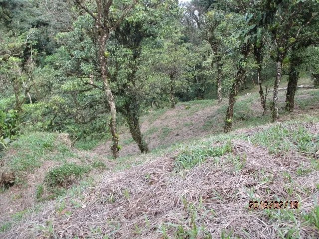 Lote plano en las monta