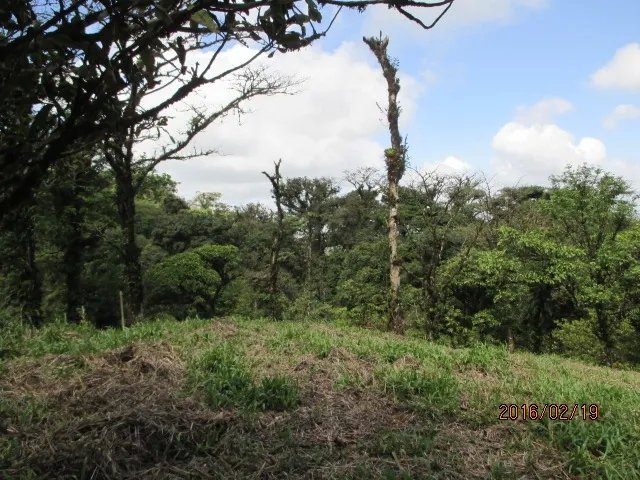 Lote plano en las monta