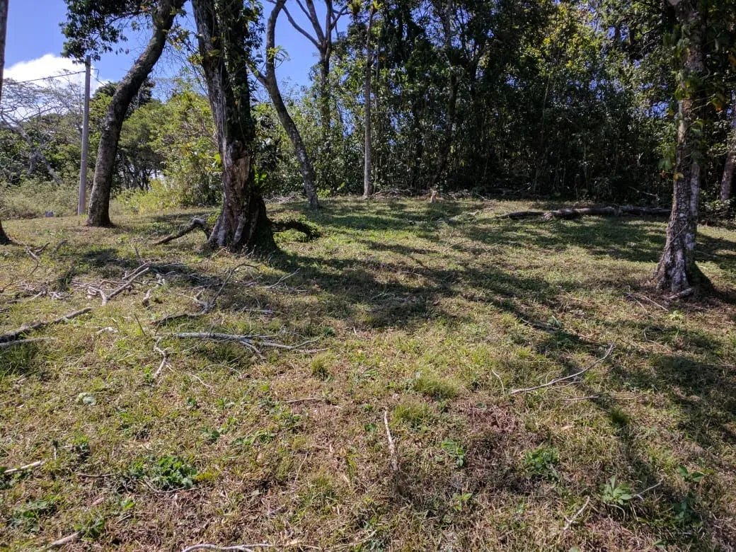 Lote de casa en venta en altos del maria