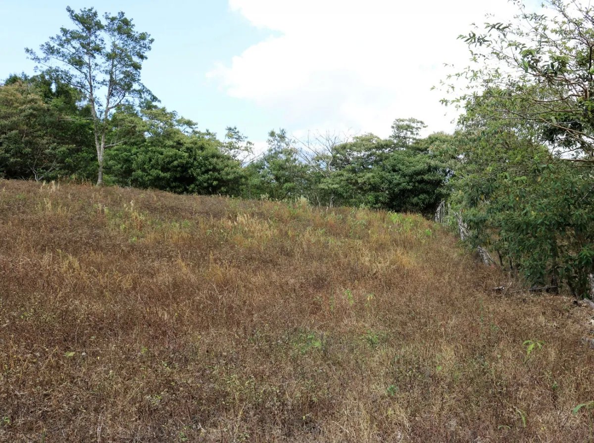 Hermoso lote a poca distancia del centro de volcan