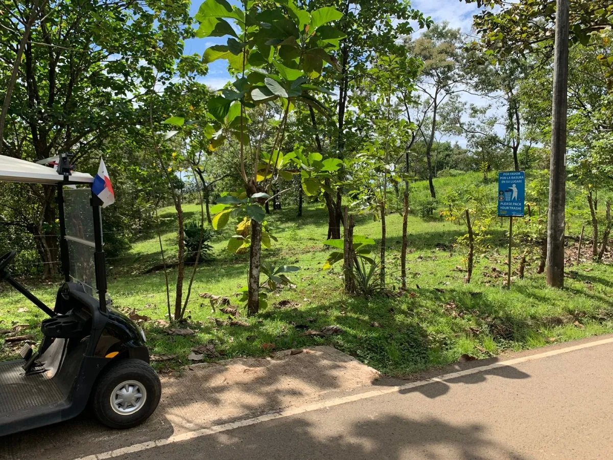 Lote a la venta en santa catalina