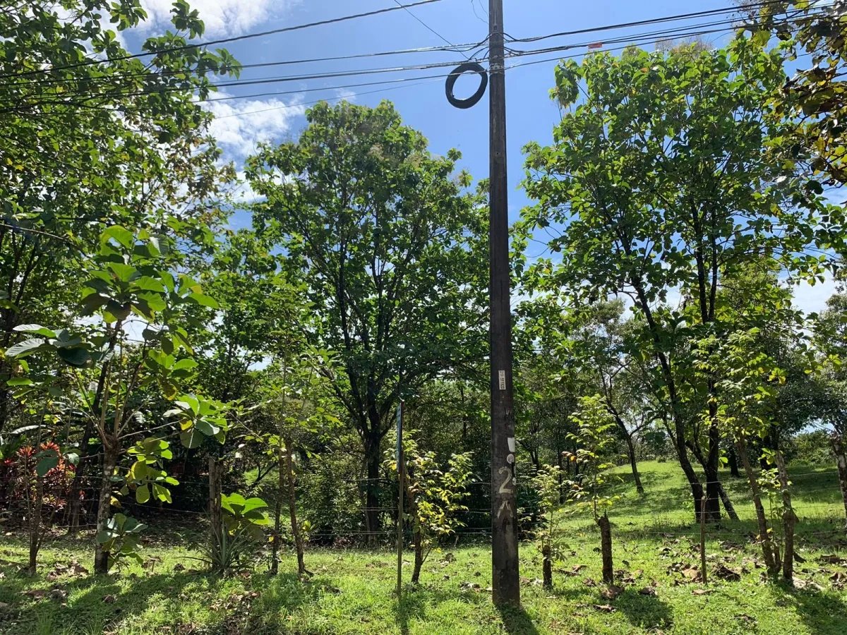 Lote a la venta en santa catalina