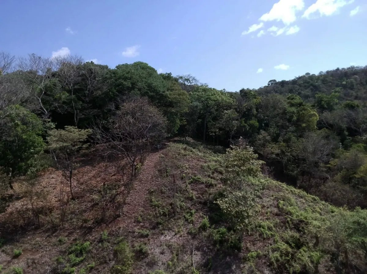 Se vende propiedad en playa gorgona, bahia de san lorenzo