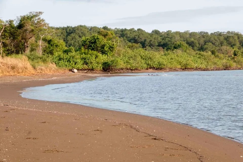 Se vende lote en la playa de lagartero, veraguas