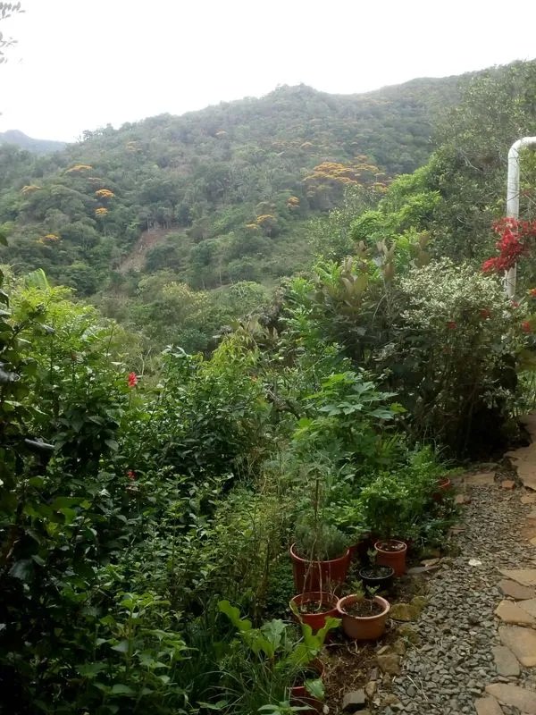 La casa perfecta para los amantes de la naturaleza con jardines de permacultura y acuaponía