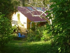 138911 - La Pintada - properties