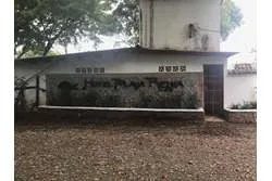 Terreno en playa reina de 1370 m2 titulada