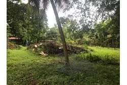 Terreno en playa reina de 1370 m2 titulada