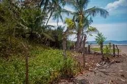 Se Vende Lote Frente a Playa en Santa Catalina, Panama