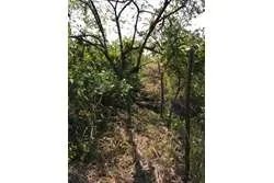 Se vende 1 hectárea en santa catalina, veraguas. panamá.