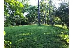Se venden lotes en lagartero, sona - provincia de veraguas