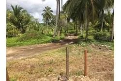 Se vende lote de 1800m2  en playa morrillo, veraguas.