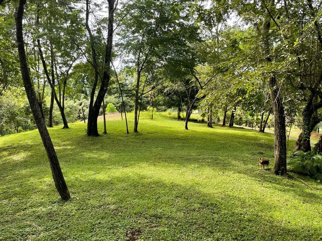 Lote en venta en santa catalina, de unos 814 metros cuadrados; en una ...
