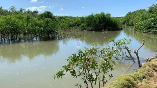 Gran terreno con dos casas en el estero de las lajas