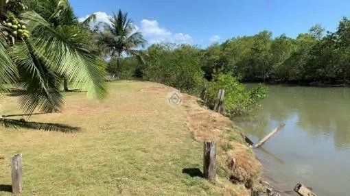 Gran terreno con dos casas en el estero de las lajas