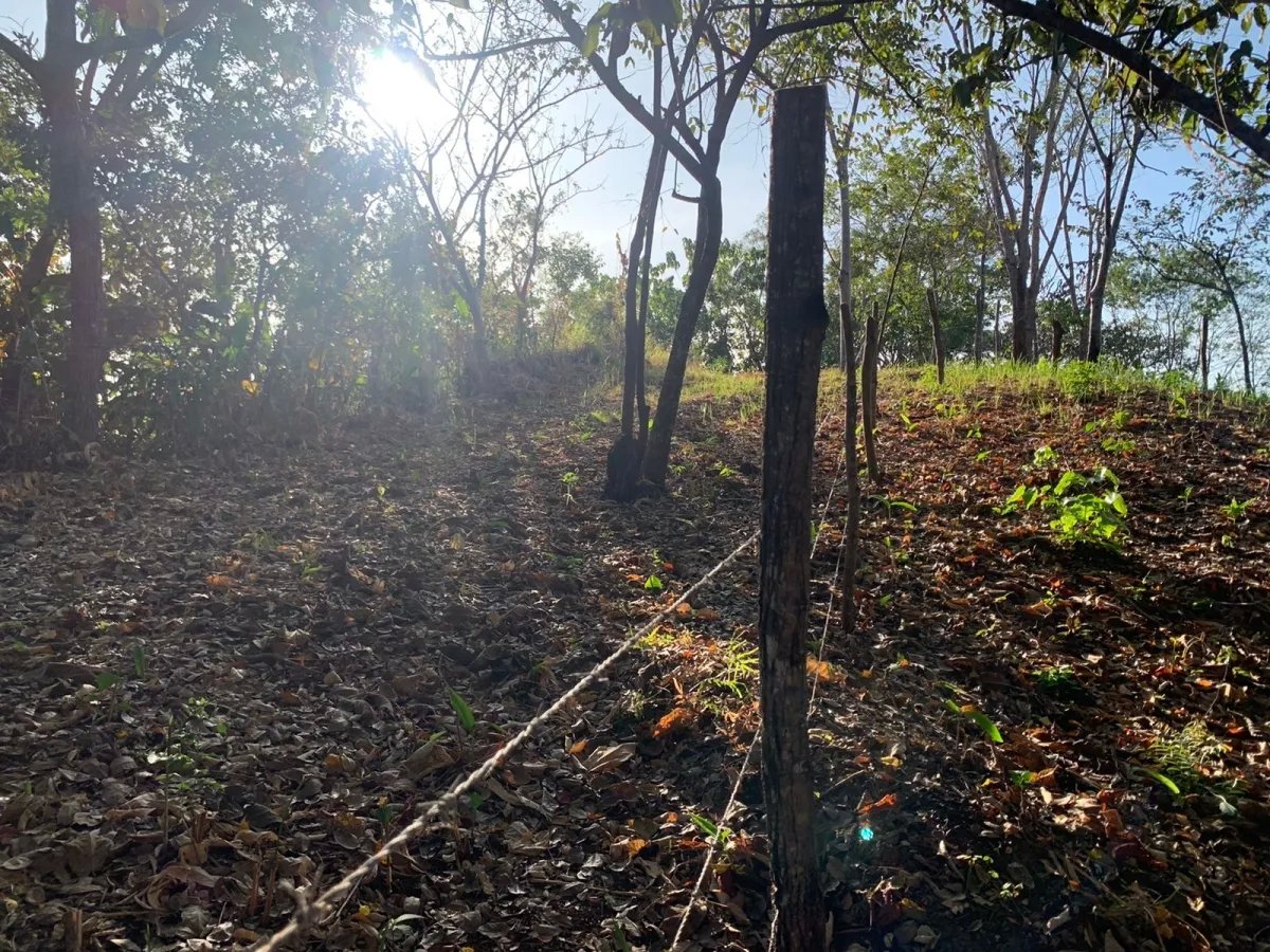 Propiedad en venta en santa catalina, veraguas (la propiedad mide 1000...