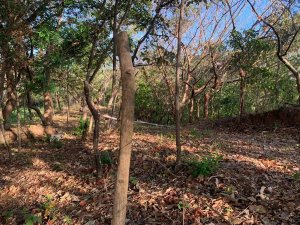 138940 - Santa catalina - lots